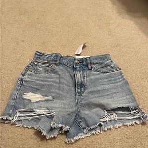 American Eagle Outfitters Light Blue Distressed Jean Shorts